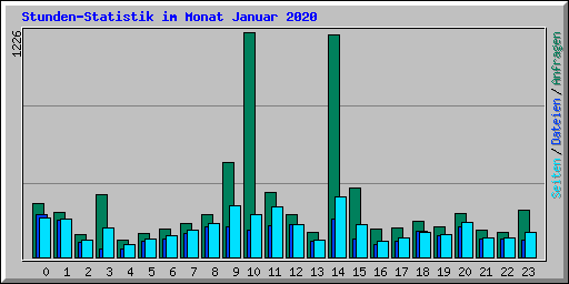 Stunden-Statistik im Monat Januar 2020