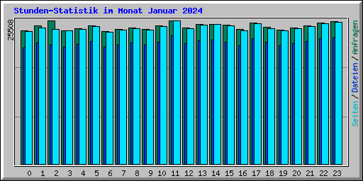 Stunden-Statistik im Monat Januar 2024