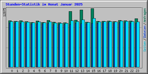 Stunden-Statistik im Monat Januar 2025