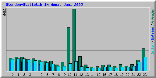 Stunden-Statistik im Monat Juni 2025
