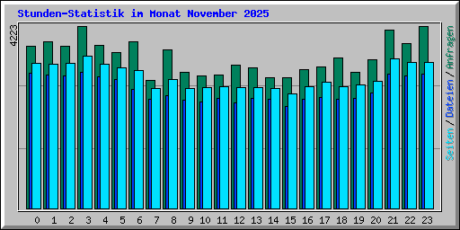 Stunden-Statistik im Monat November 2025