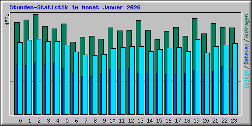 Stunden-Statistik im Monat Januar 2026